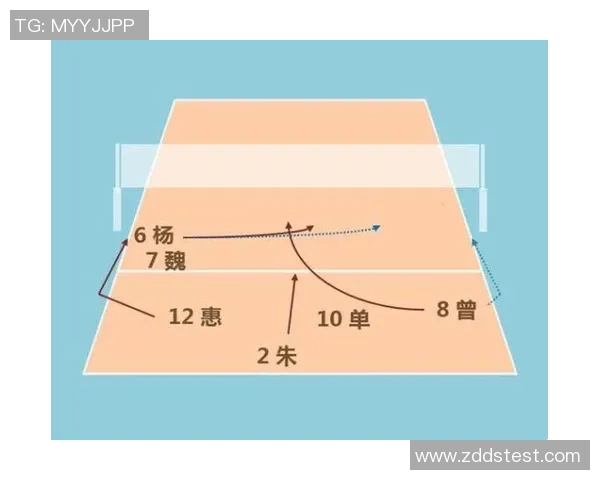 广州排球队整体压制战术分析与未来发展趋势探讨
