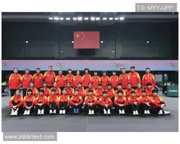 成都乒乓球队技术对比深度解析与发展趋势探讨