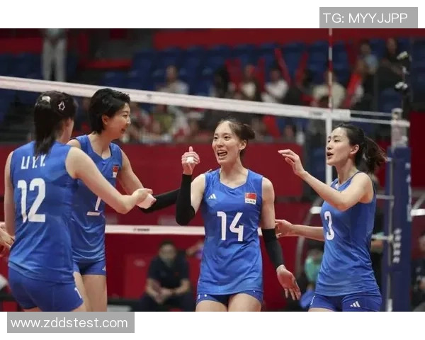 杭州排球队配合策略深度解析与对比研究